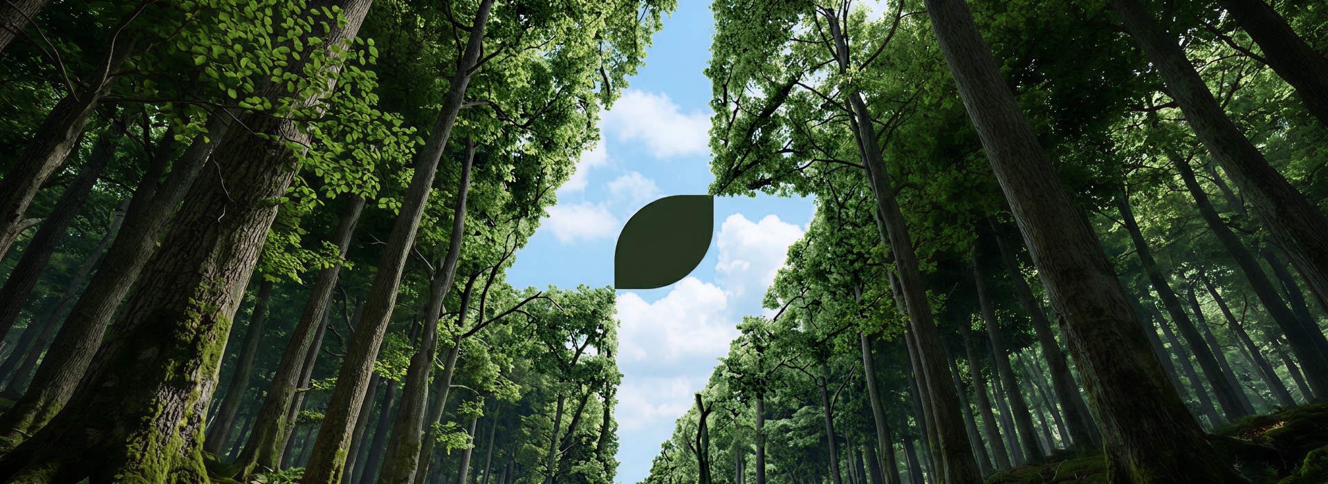 download.jpg